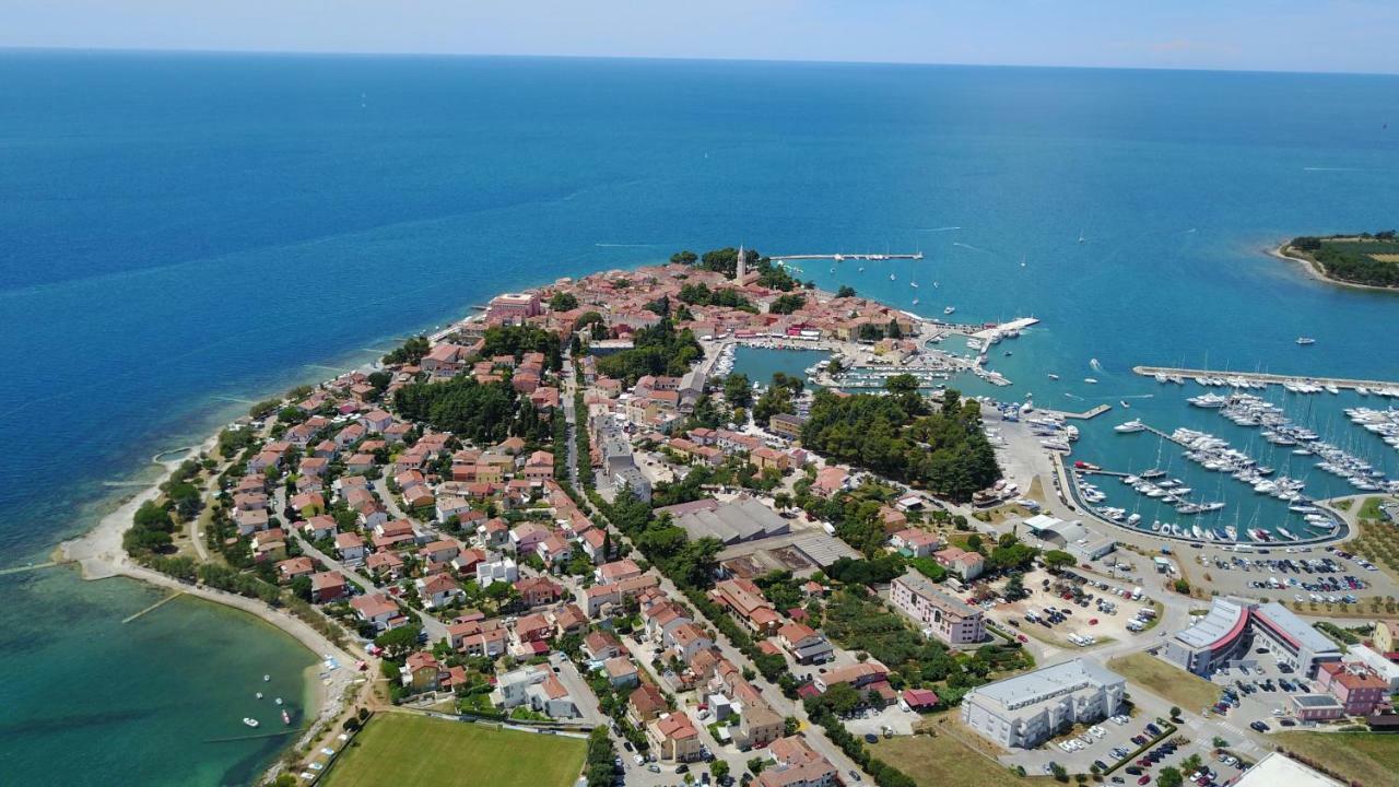 Apartman Petelin Novigrad Istria Esterno foto